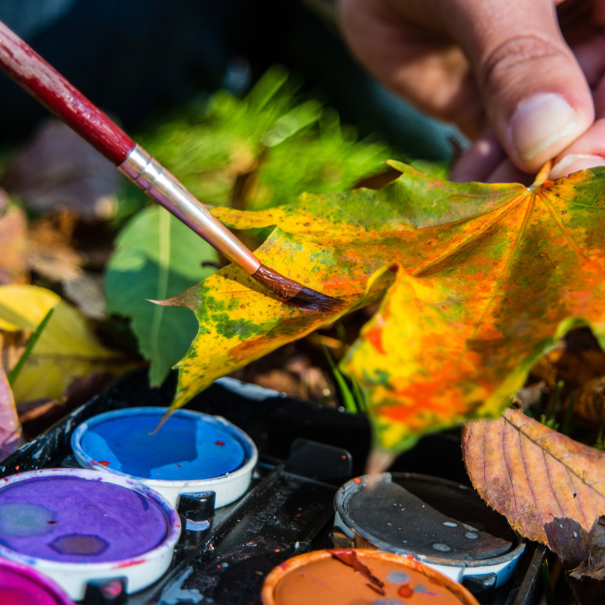 ein Blatt wird mit einem Pinsel bemalt