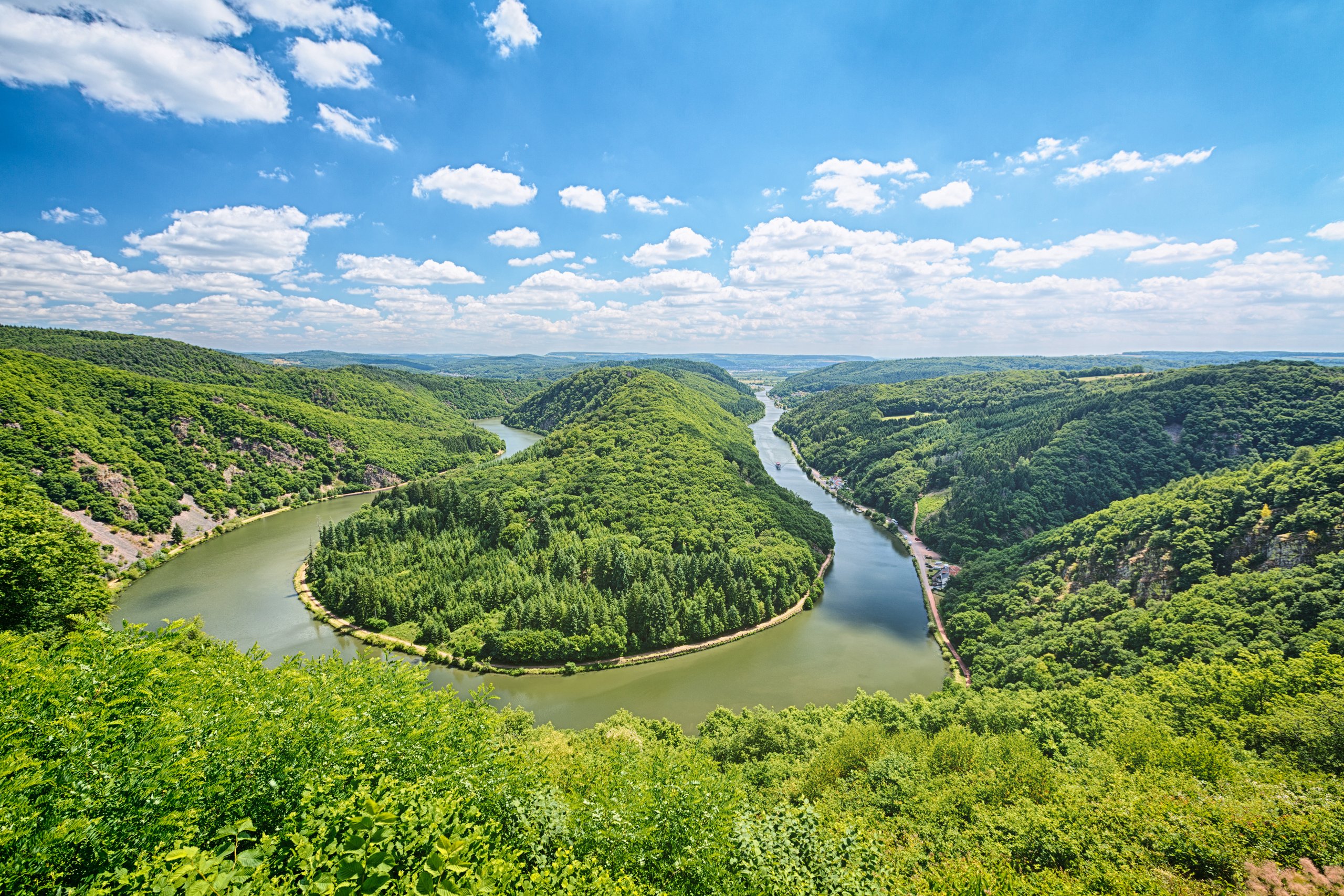 Großer tropischer Wald mit einem breiten Fluss in der Natur bei strahlendem Sonnenschein und heiterem Himmel