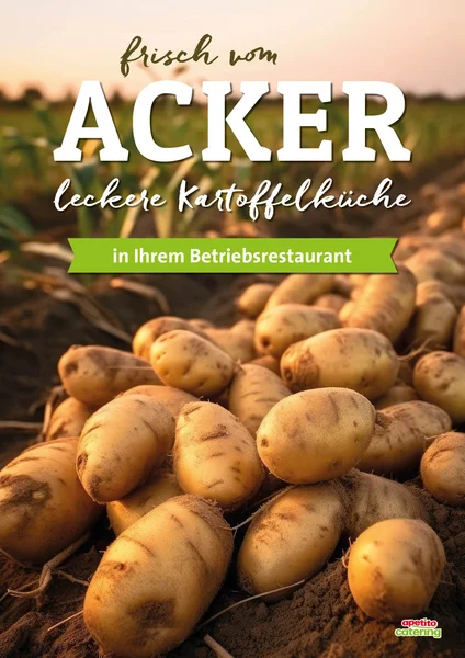 frisch geerntete Kartoffeln auf einem Feld. Mit einer weißen Überschrift: frisch vom Acker leckere Kartoffelküche