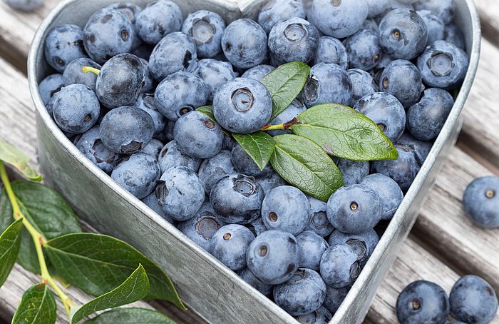 Gesunde und regionale Blaubeeren in einer Herzform mit Kräutern serviert